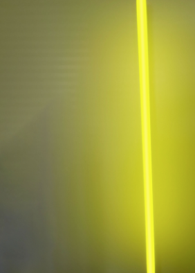 Green Fluorescent Tube Floor Light 135cm