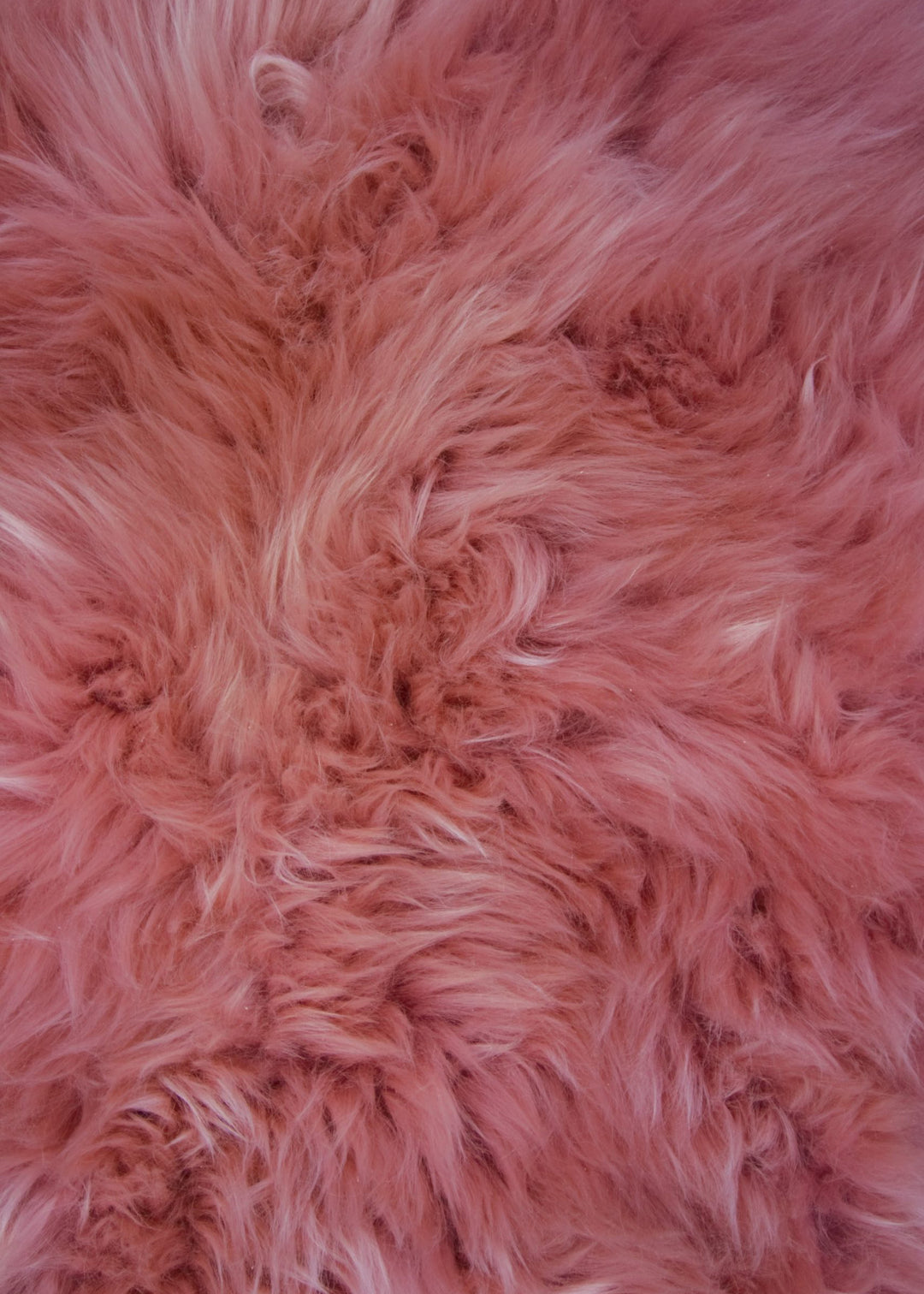 Quad Sheepskin Rug