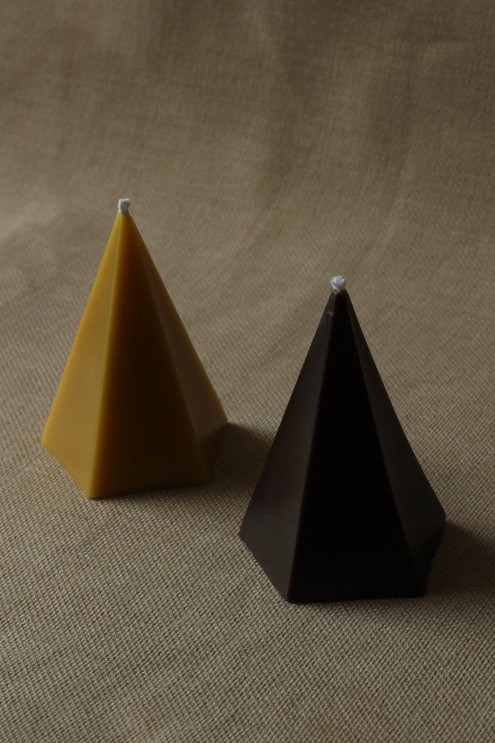 The Polygon