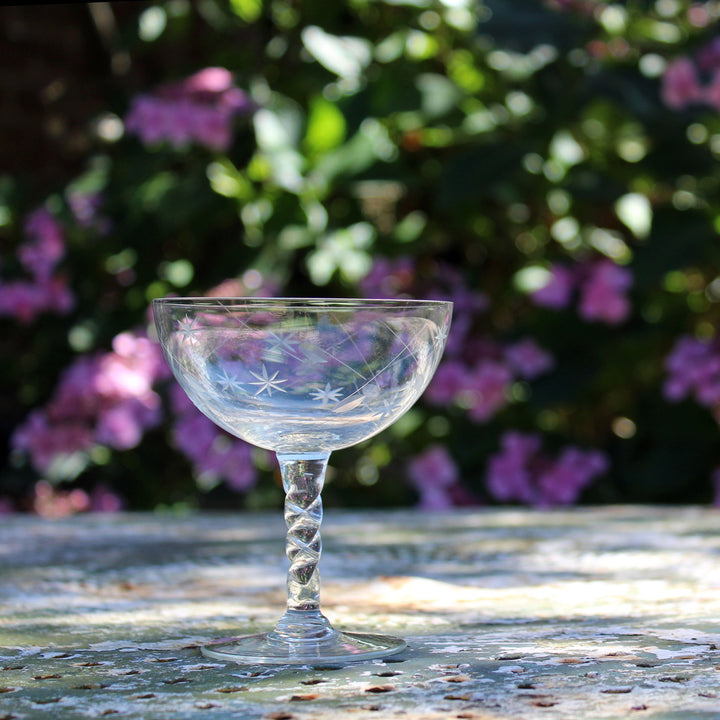 Star and Leaf Set of 6 Champagne Coupe