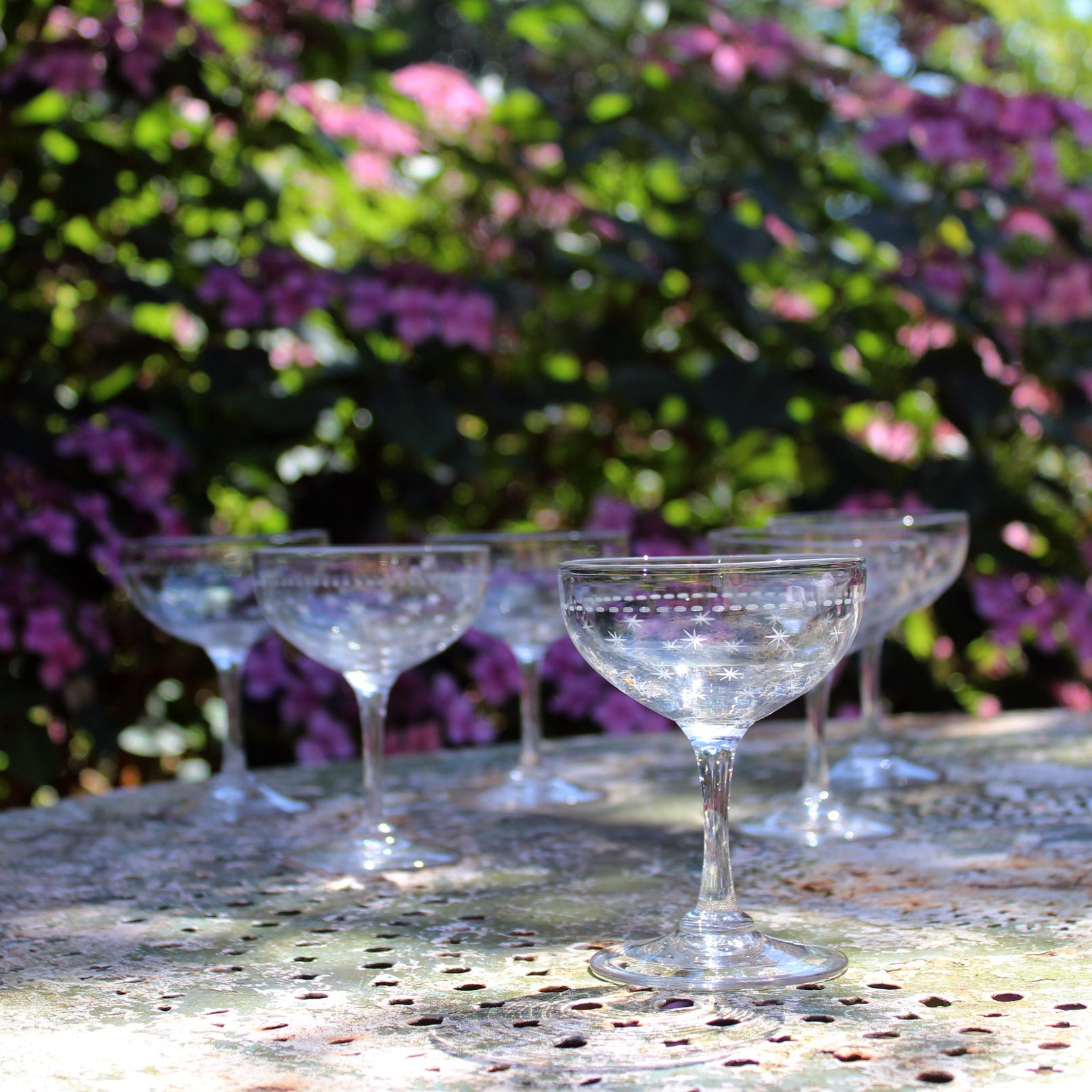 19th century champagne coupes