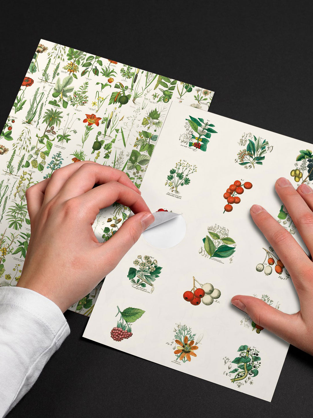 Flora Label, Sticker &amp; Tape Book