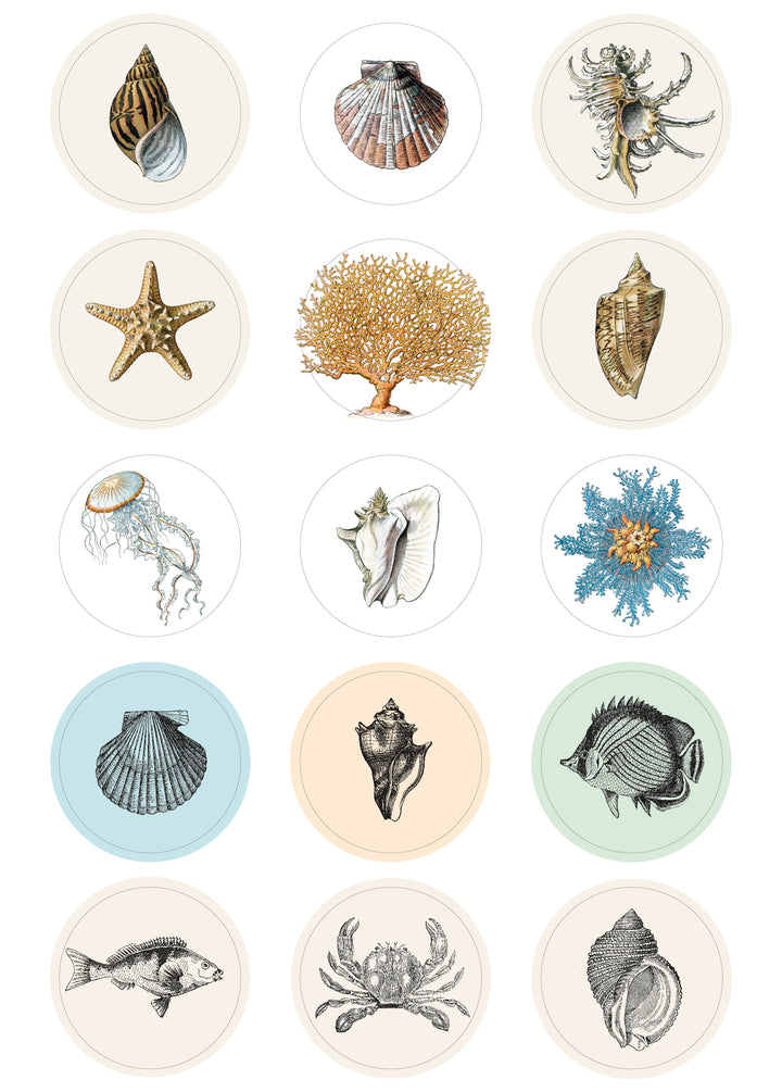 Natural History Label, Sticker &amp; Tape Book
