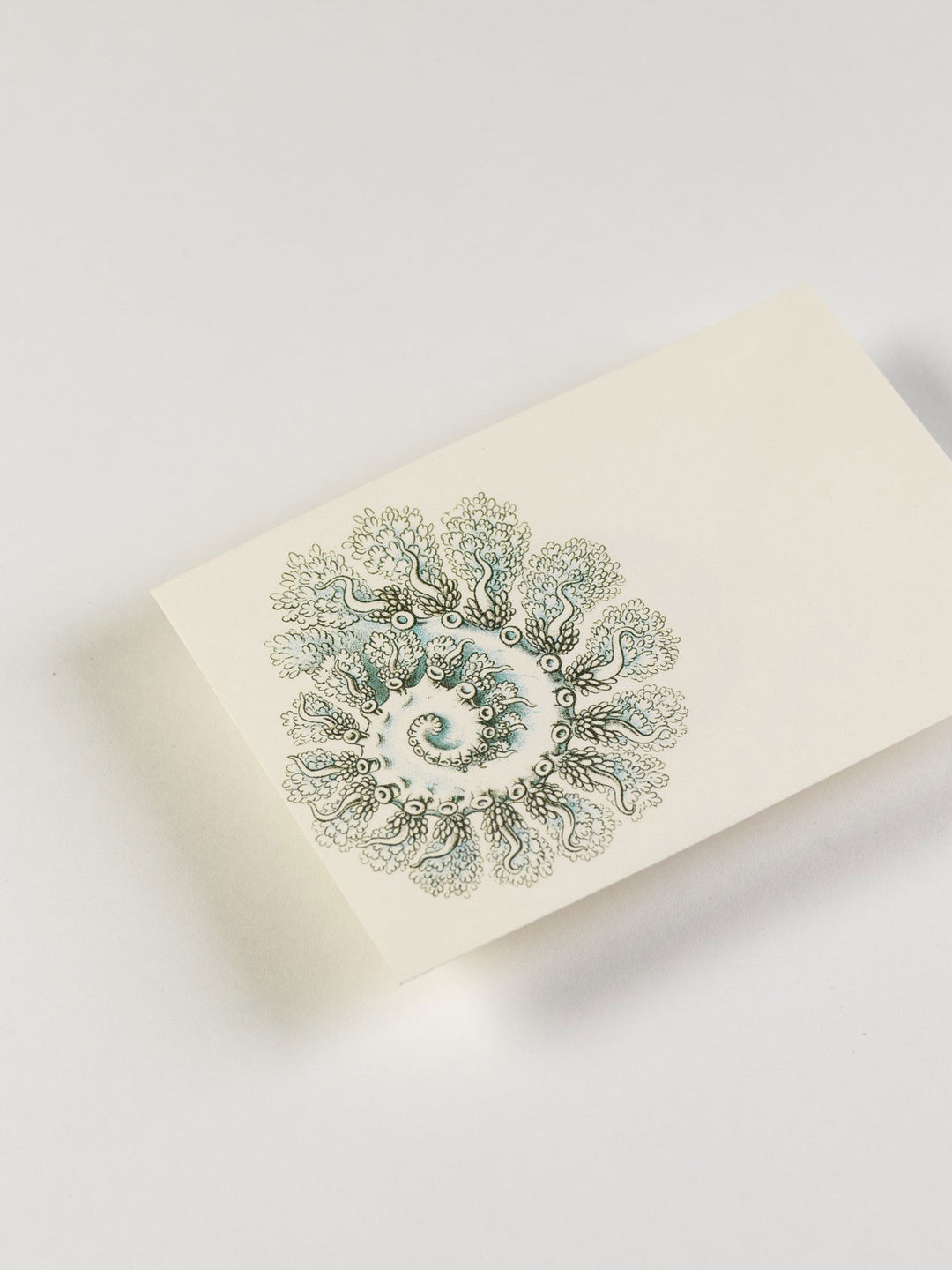 Art Forms in Nature Letter Writing Set