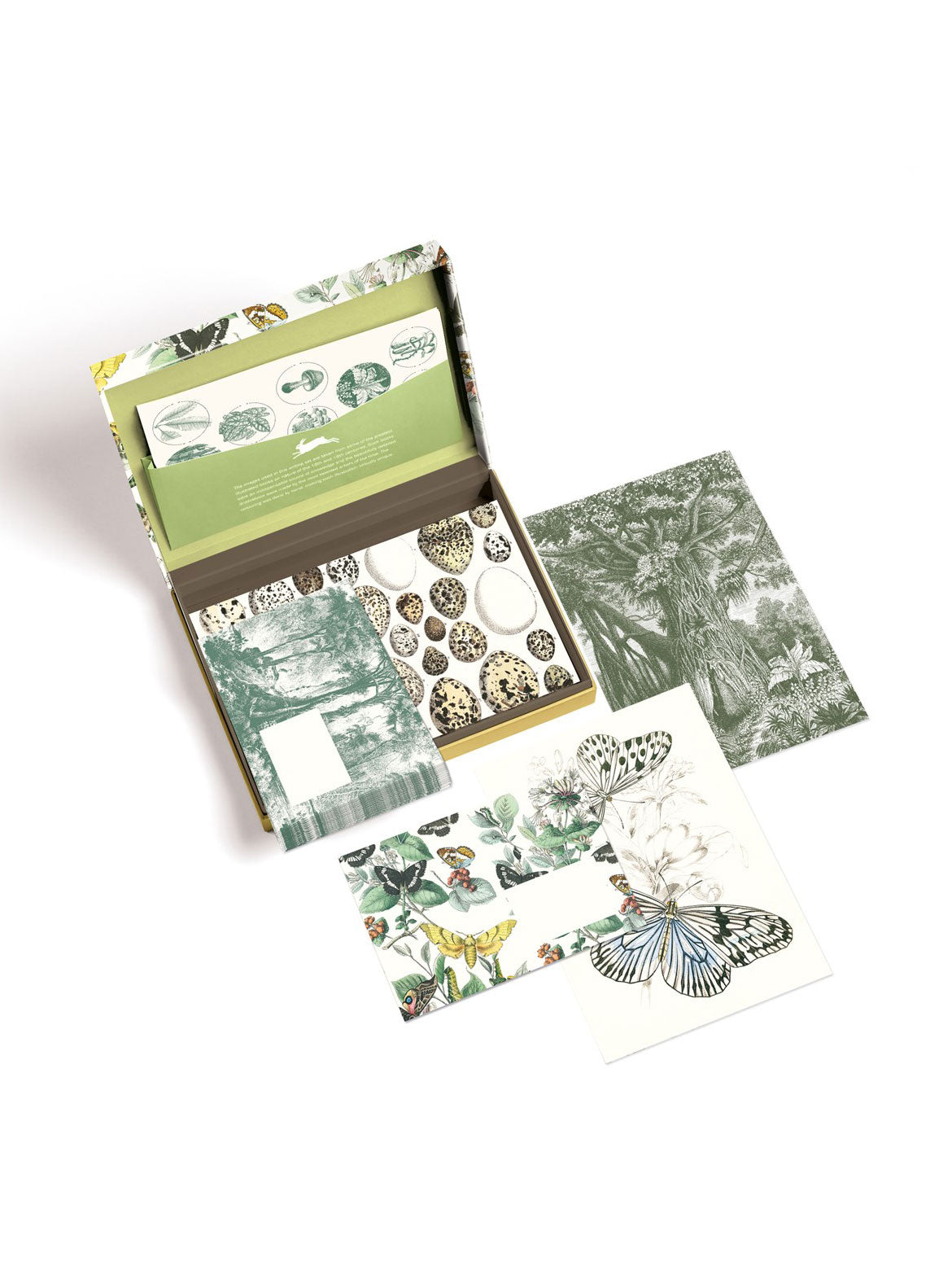 Natural History Letter Writing Set