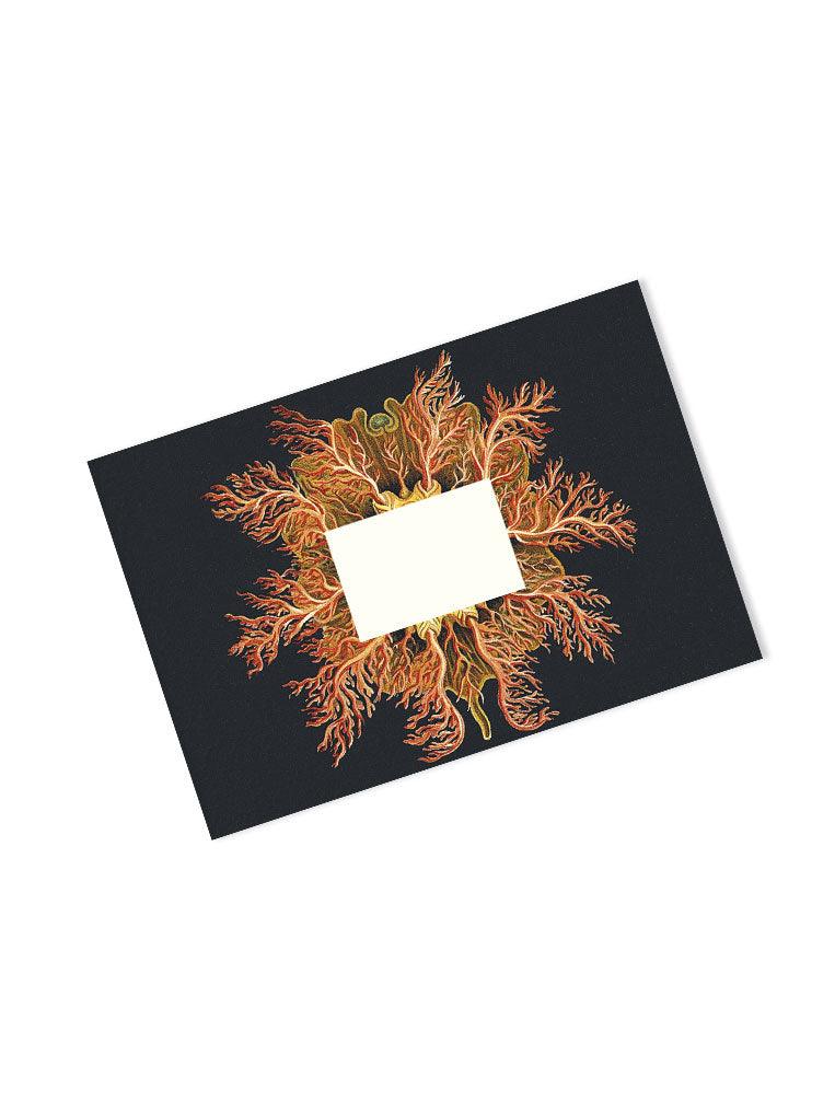 Maritime Art Forms Envelopes
