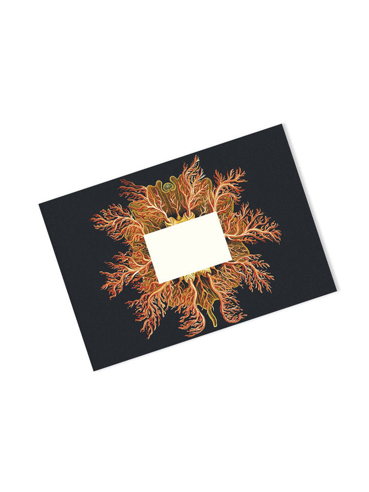 Maritime Art Forms Envelopes