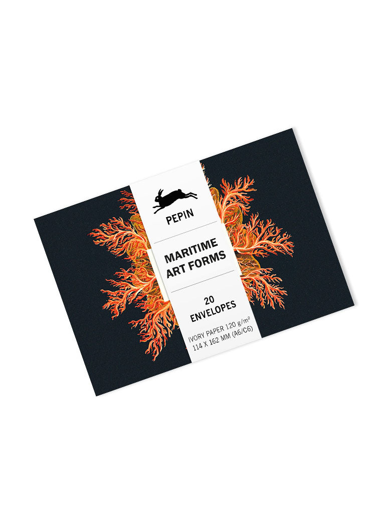 Maritime Art Forms Envelopes