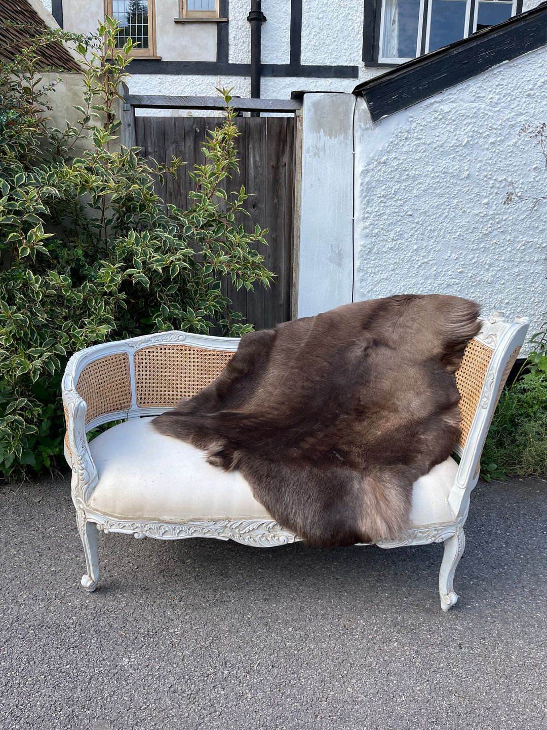 Russian Reindeer Hide