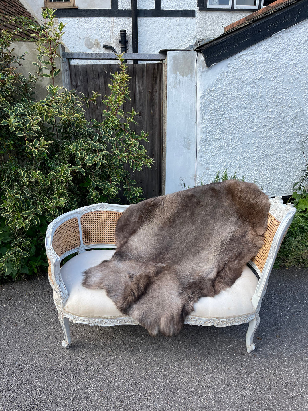 Russian Reindeer Hide