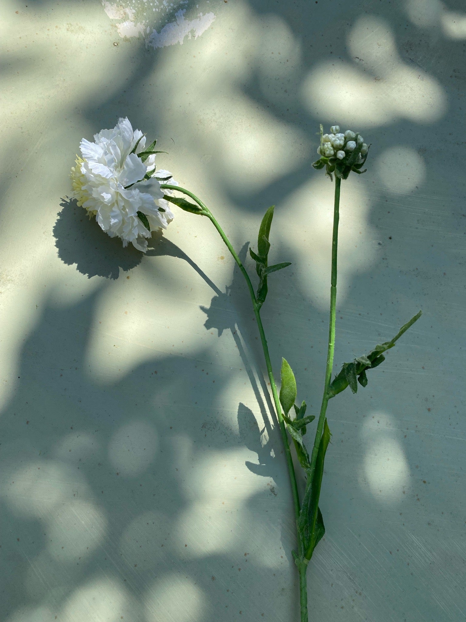 Faux Scabiosa Flower Stem