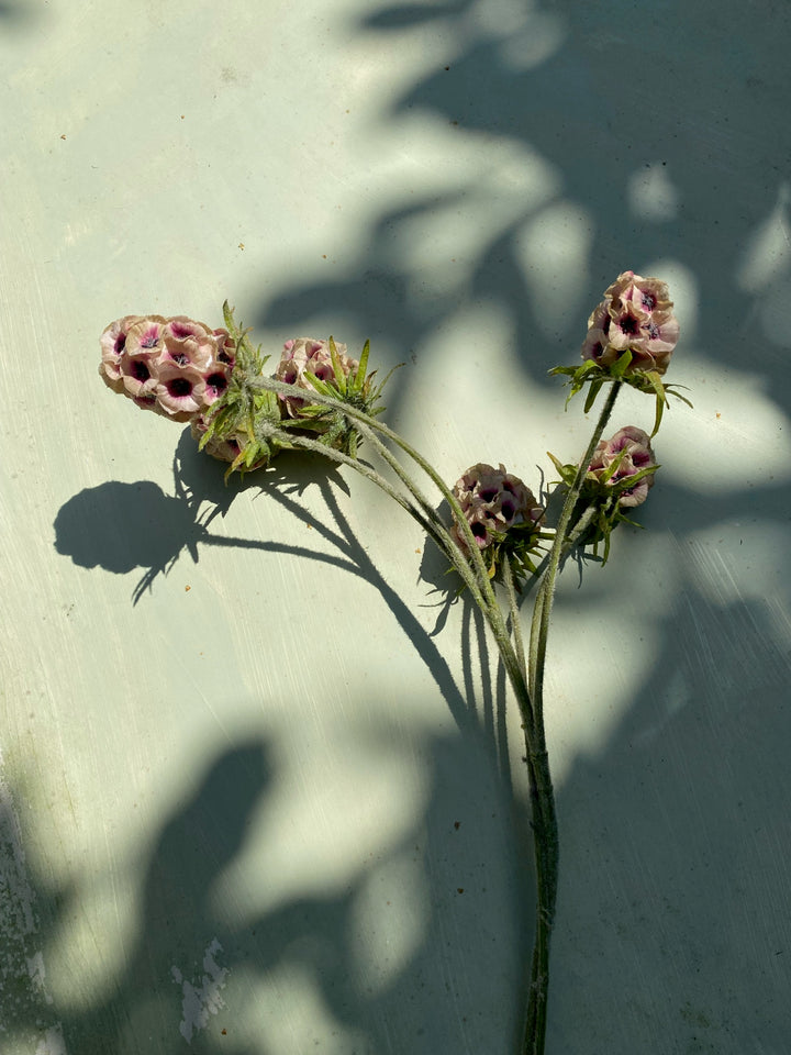 Faux Golfball Scabiosa Stem