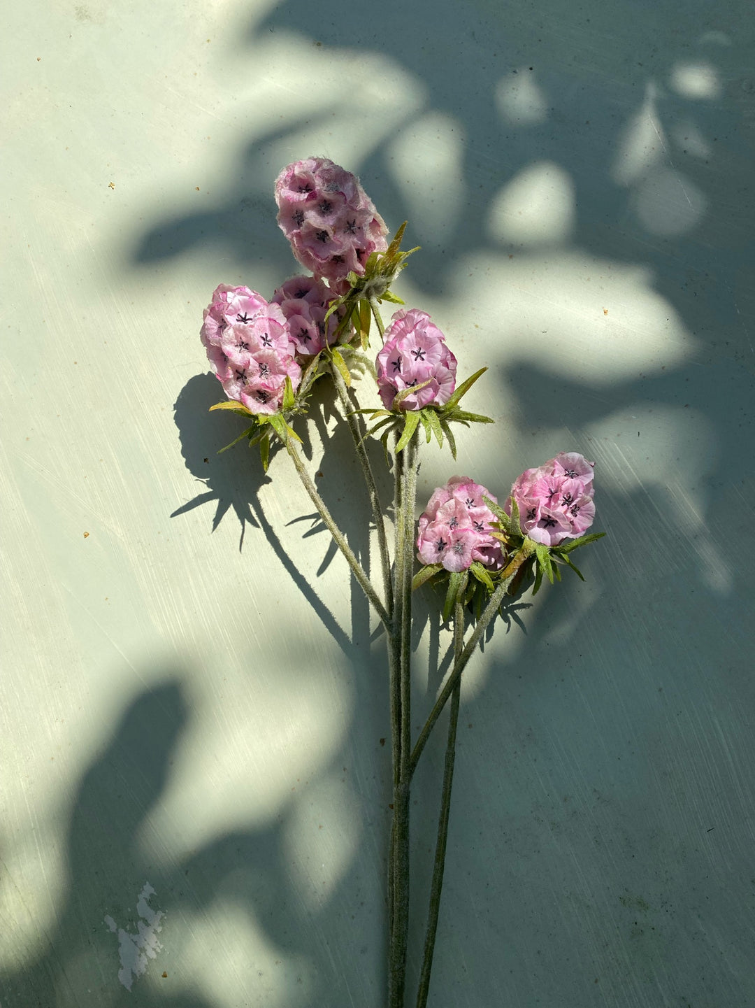 Faux Golfball Scabiosa Stem