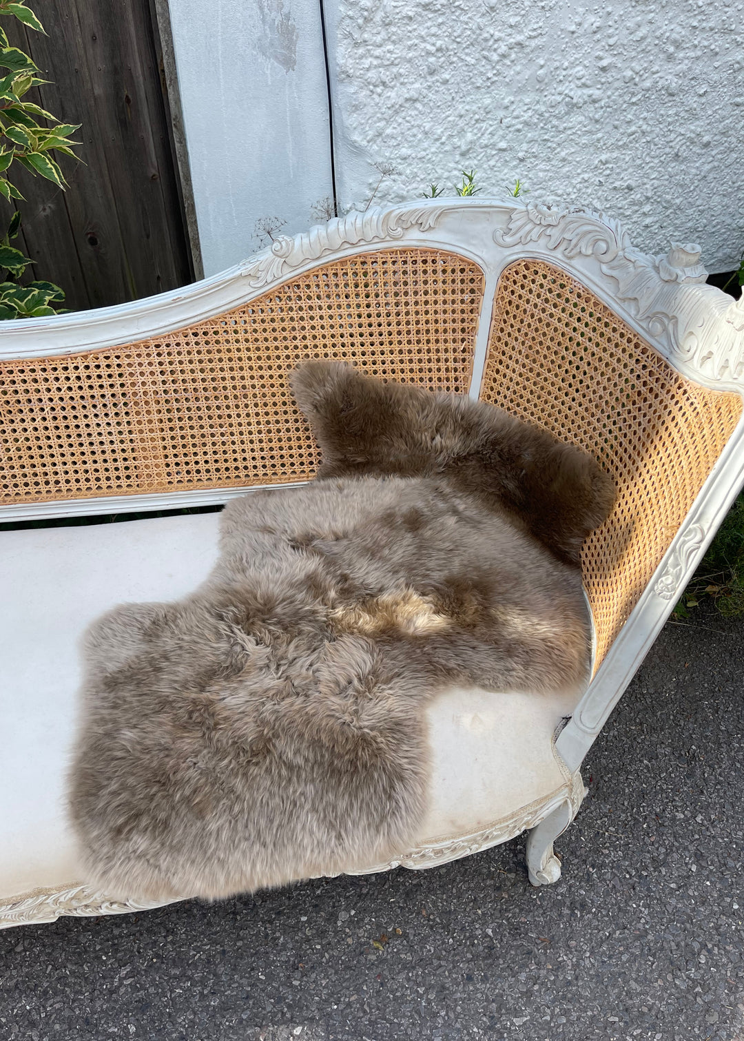 Single Sheepskin Rug - Ten Colours