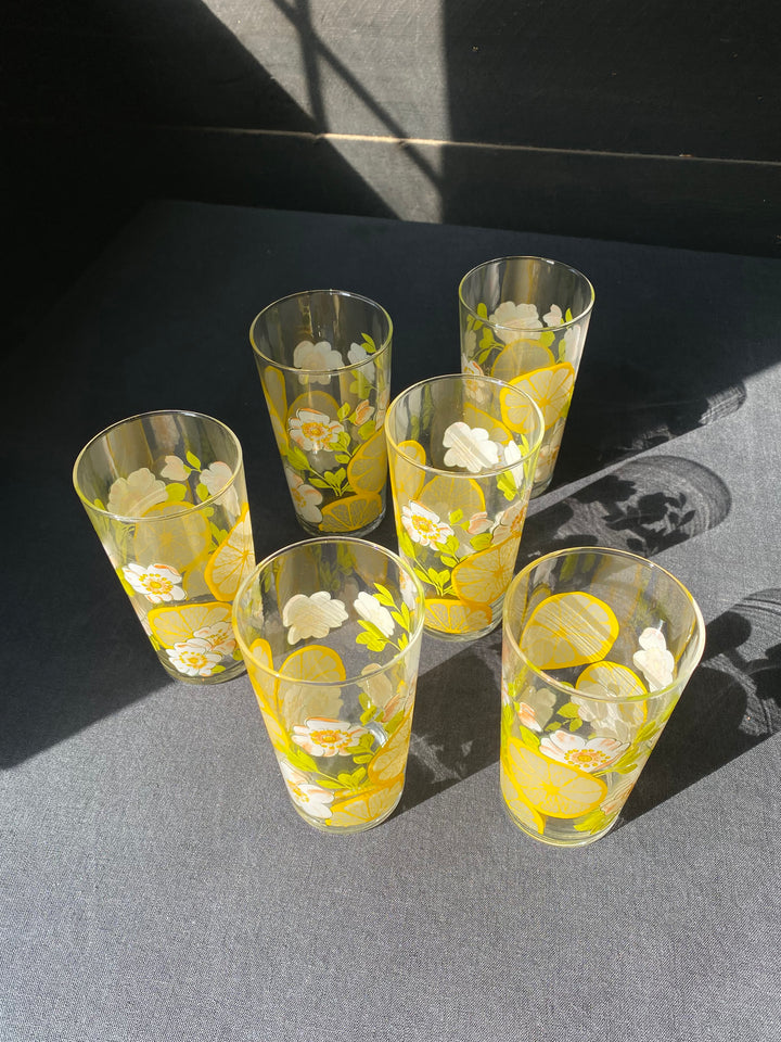 Vintage Floral Tumblers Set of Six