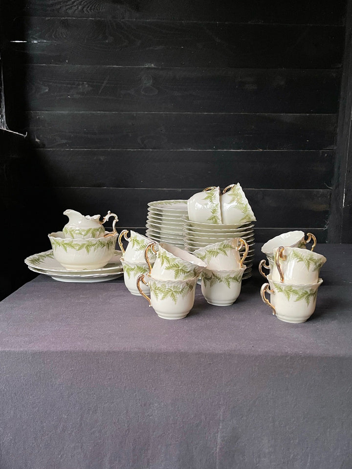 Vintage Festive Fern 40 Piece Tea Set