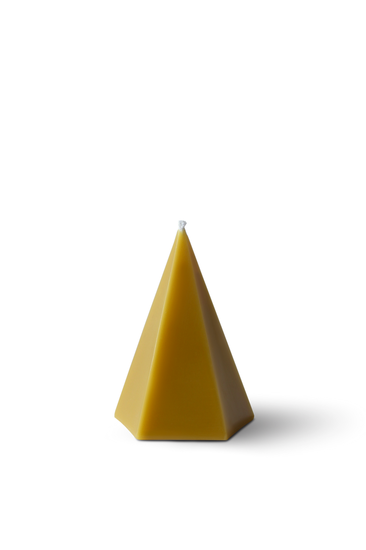 The Polygon