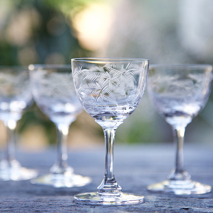 The Vintage List Ferns Liqueur Glasses Set of 6